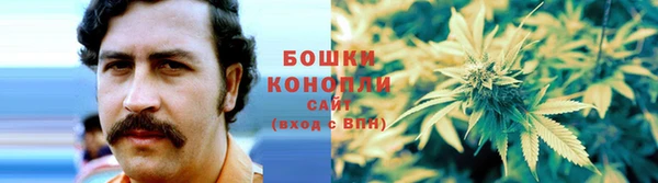 PSILOCYBIN Аркадак